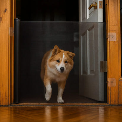 Retractable Pet Protection Gate (No Drill Required)